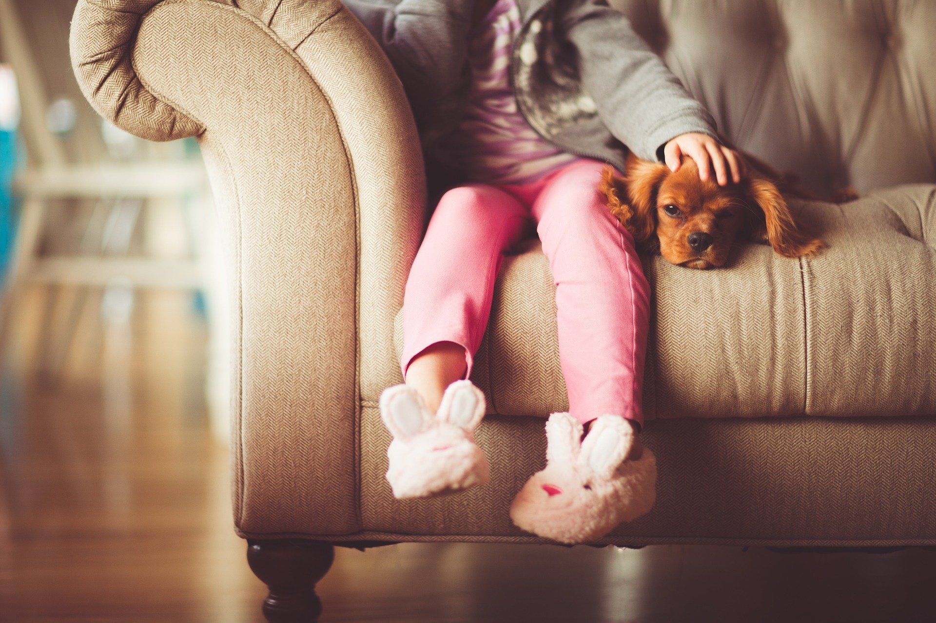Durable Power of Attorney, Health Care Proxy, and Wills: What You Need to Know