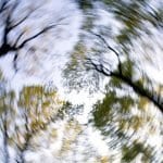 Can You Win a Disability Claim for Meniere Disease in Spokane, WA?
