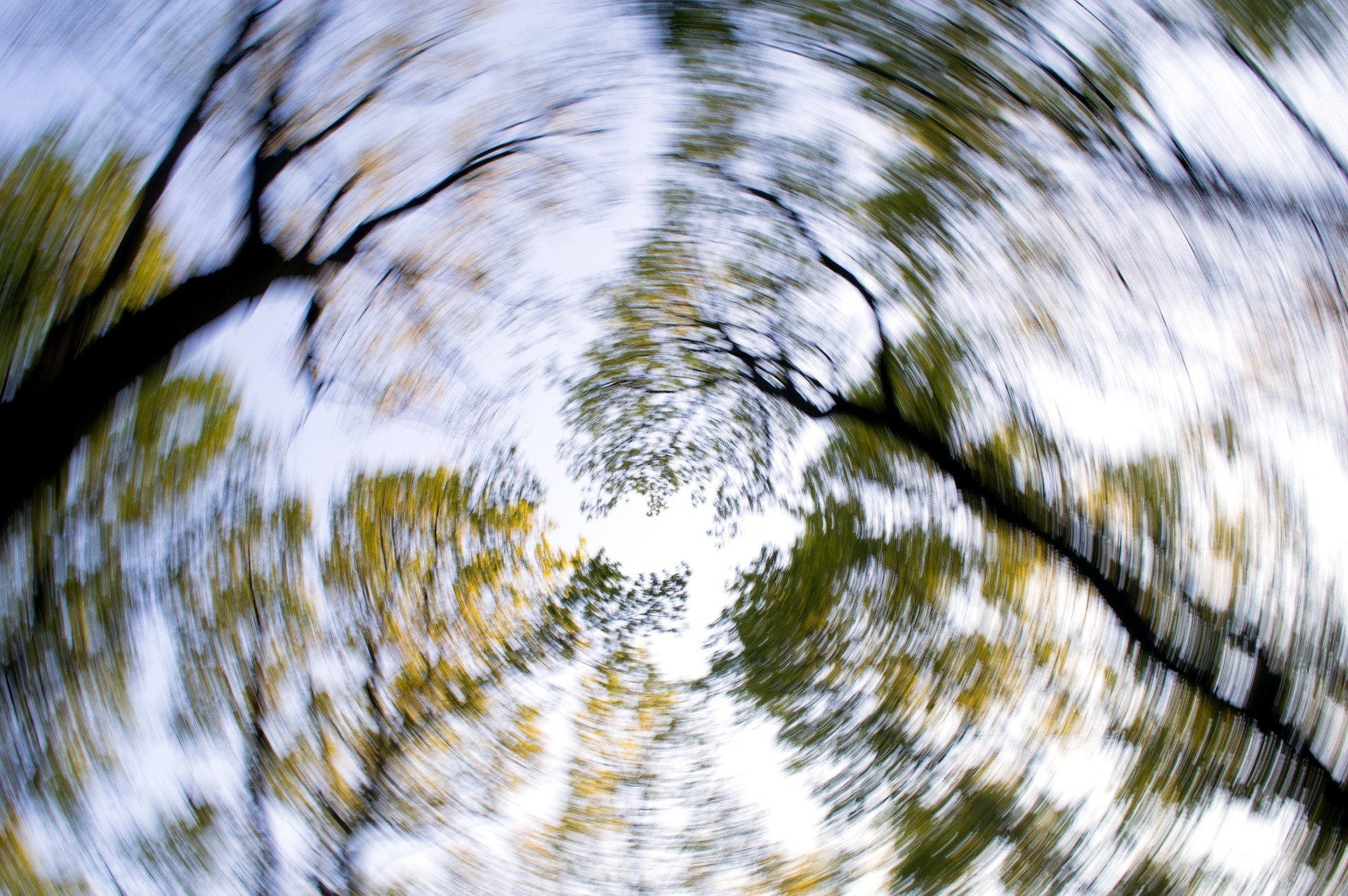 Can You Win a Disability Claim for Meniere Disease in Spokane, WA?